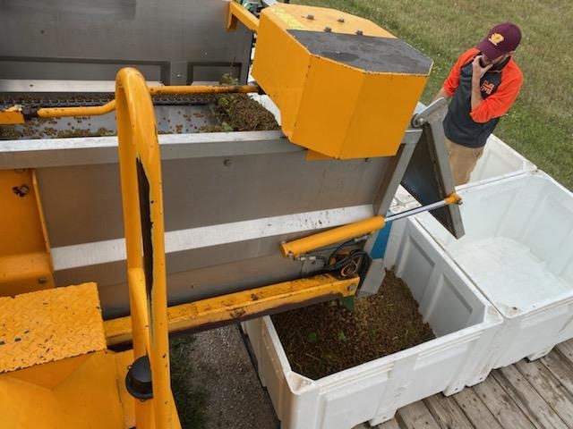 A winemaker removing fruit from a vineyard.